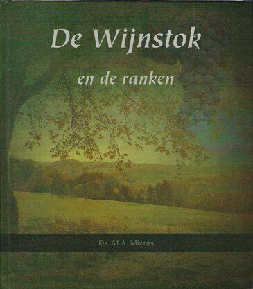 De Wijnstok en de ranken. Tien preken.