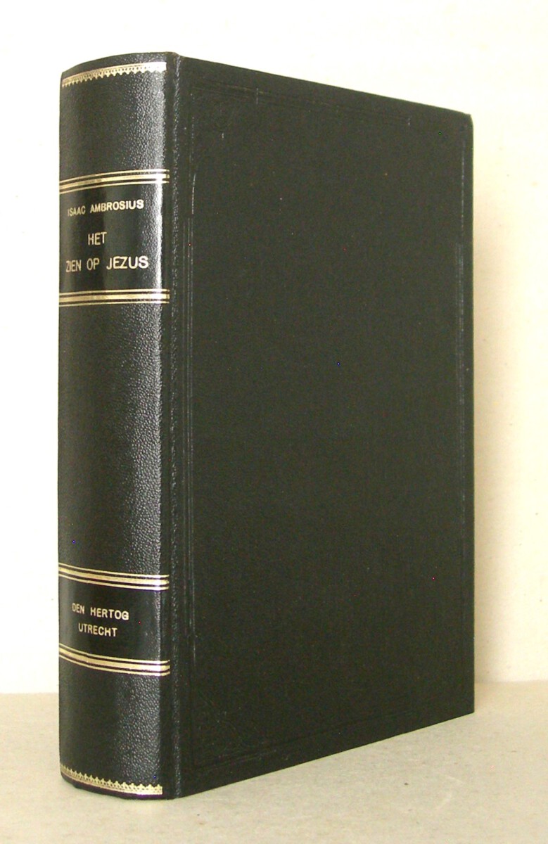 Het zien op Jezus. Een gezicht van het eeuwig Evangelie of van de zielsogen op Jezus (...)