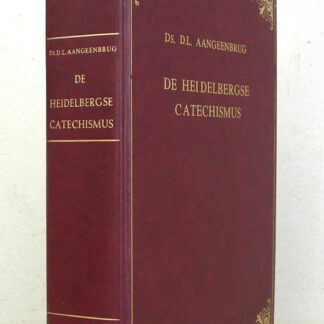 De Heidelbergse Catechismus in 53 predikaties