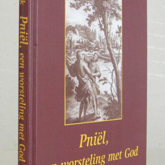Pniël, een worsteling met God. Meditaties.