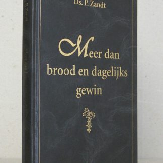 Meer dan brood en dagelijks gewin. Tiental preken.