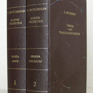 Zakelijke en praktikale verklaring van de Twaalf Kleine Profeten. Getrouwelijk uit het Engels vertaald. Met een brede voorrede over de praktikale studie van de Bijbel, door Theodorus van der Groe.