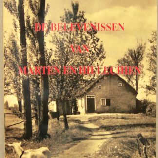 De belevenissen van Marten en Hillechien